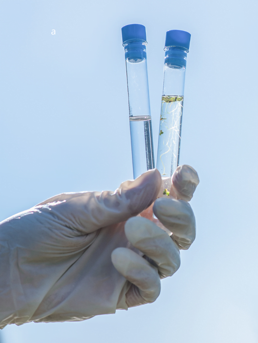 Water well service in Louisiana